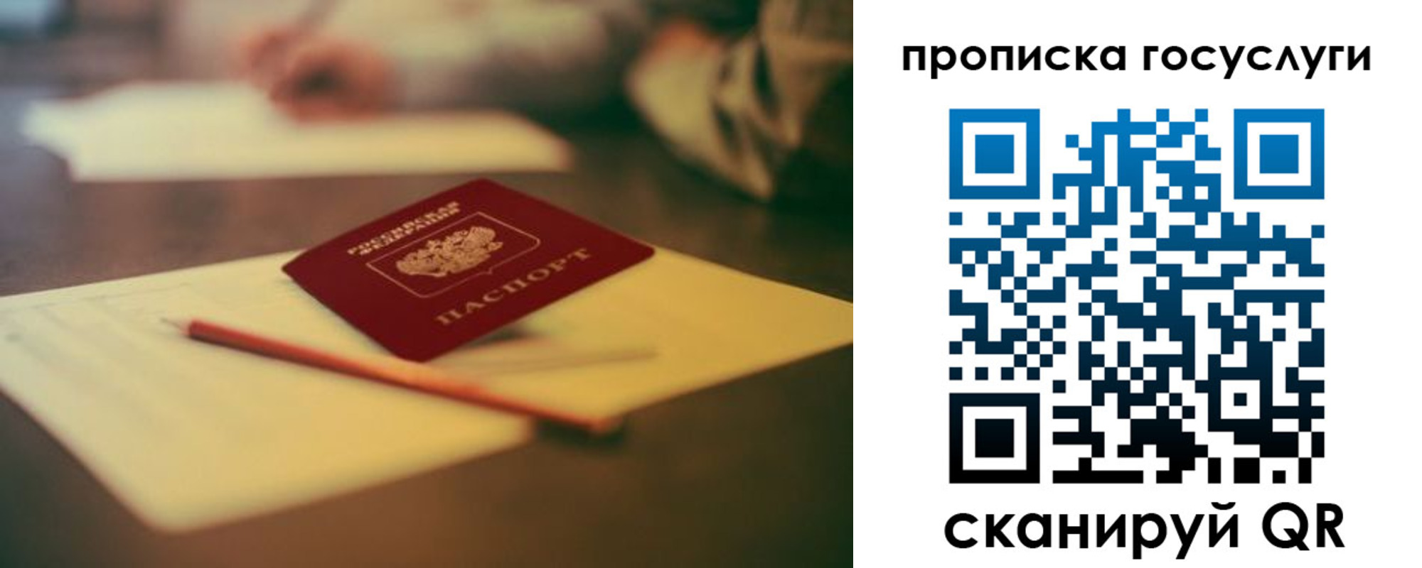 прописка для школы в Болотном